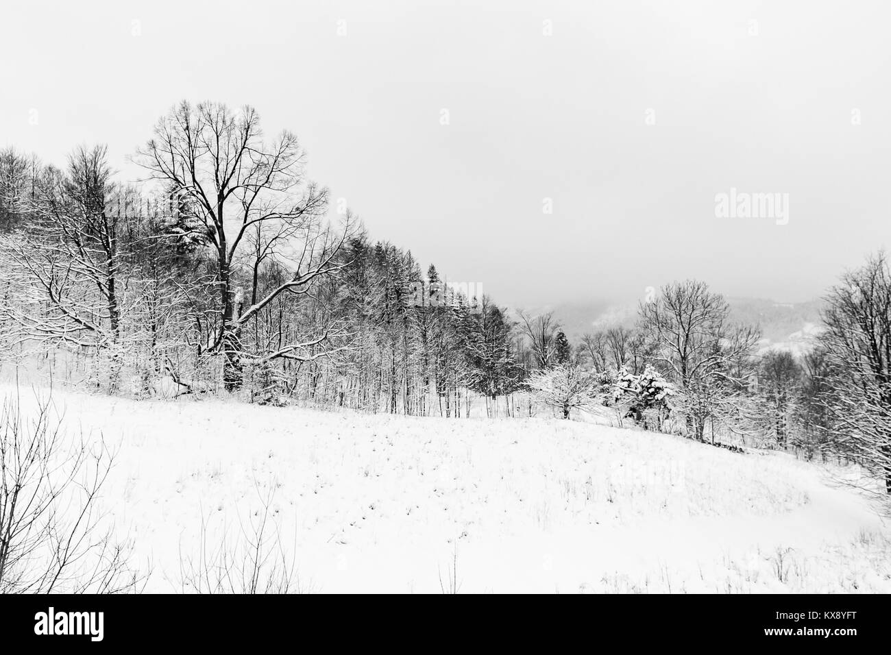 Landschaft Blick auf die Beskiden in Szczyrk in Weiß Schnee bedeckt Stockfoto