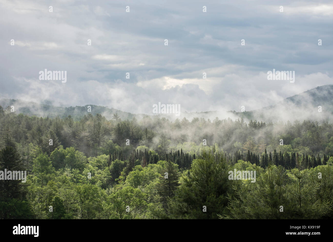 Nebel rollt über die grünen Berge, Vermont, United States Stockfoto