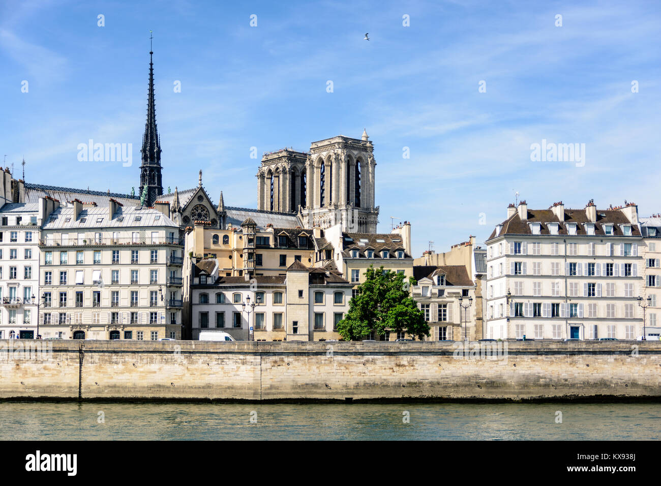 Blick auf die Kathedrale Notre-Dame de Paris auf der Ile de la Cite mit typischen Pariser Gebäude im Vordergrund. Stockfoto