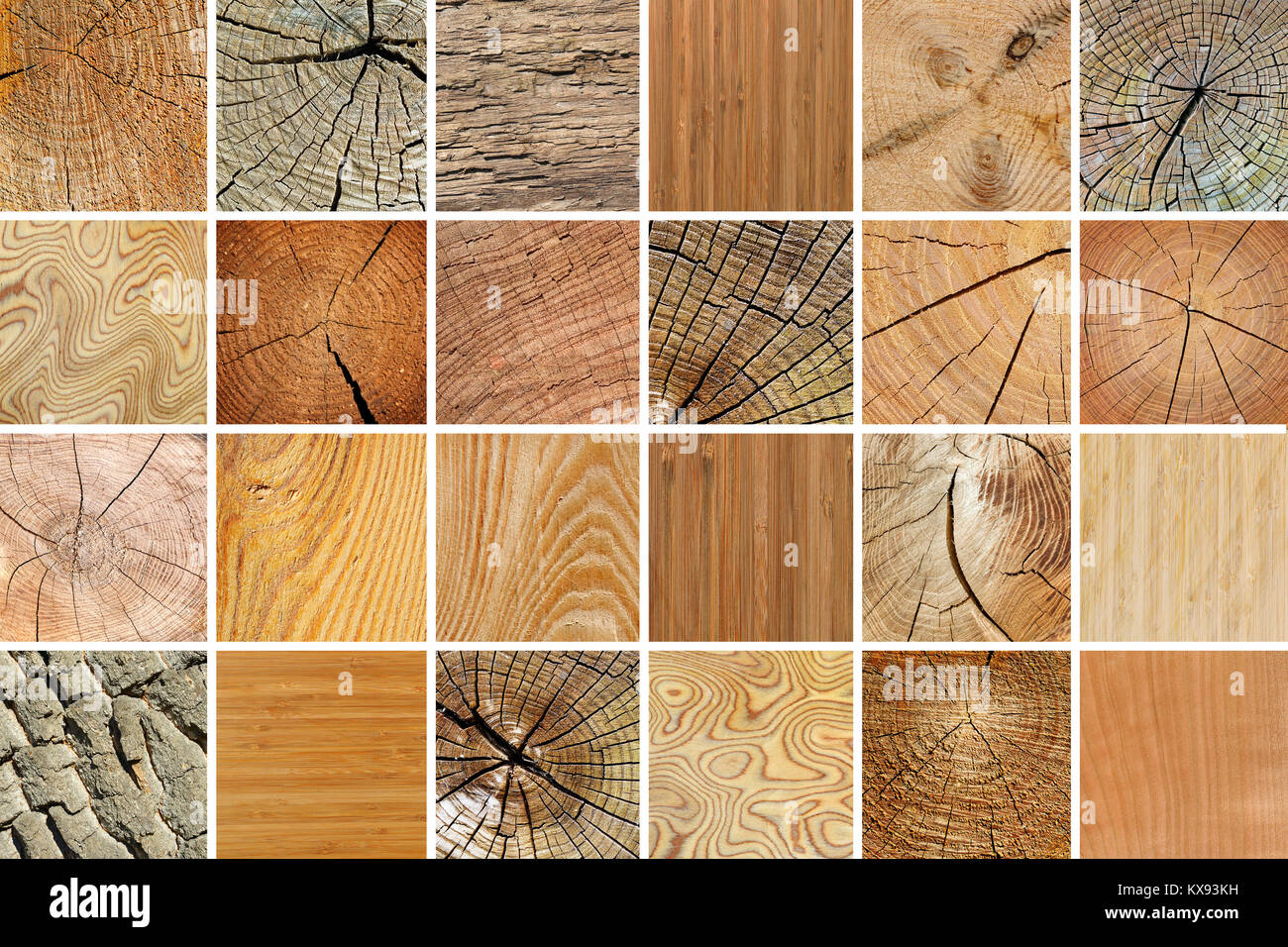 Große Sammlung von verschiedenen Holz- Texturen. Natürliche Hintergrund. Stockfoto