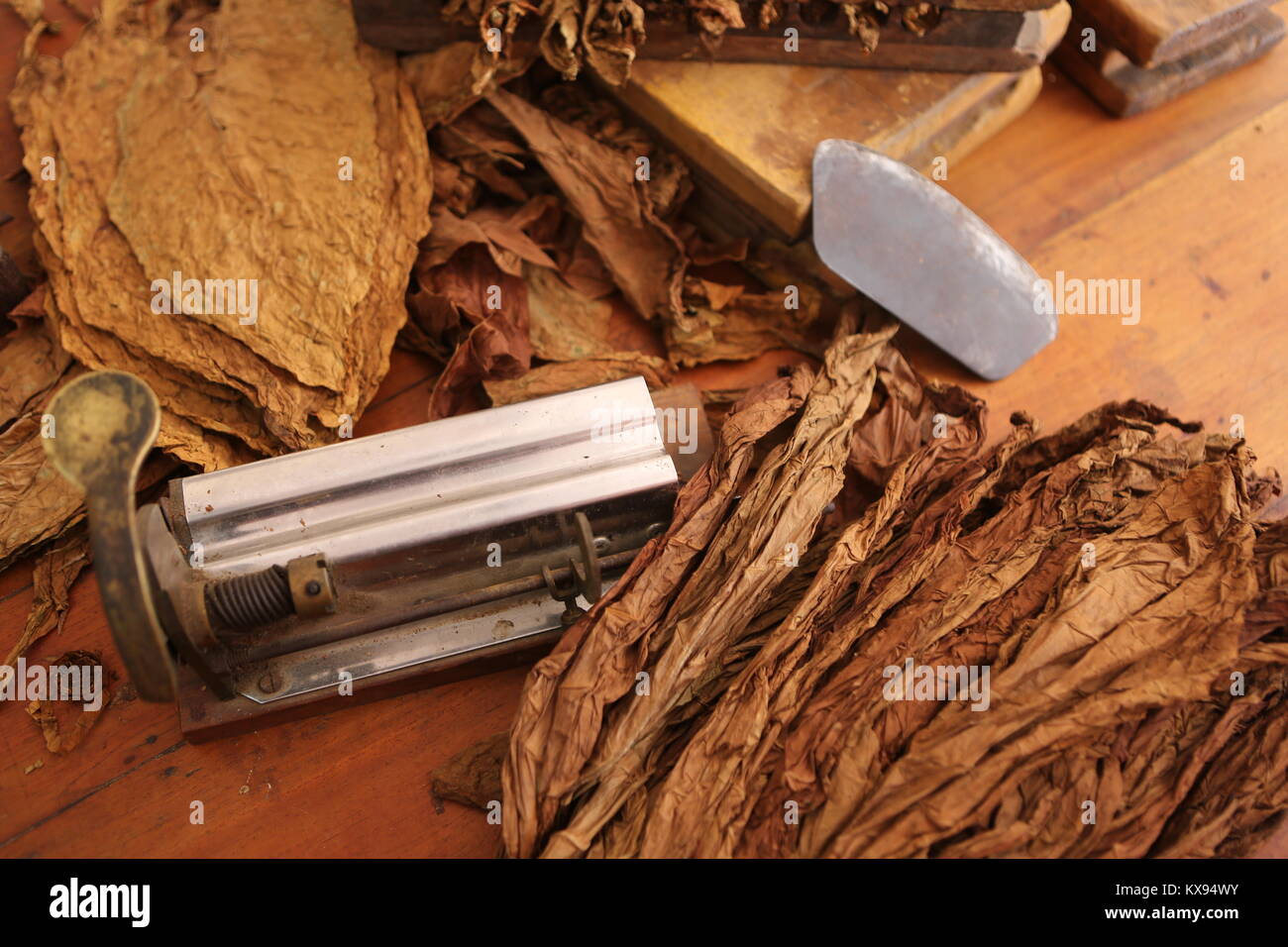 Zigarren Herstellung in Kuba - Zigarren Herstellung in Kuba Stockfoto