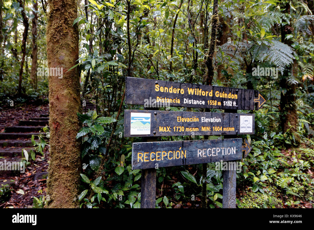 Wegweiser und Informationen im Monteverde Cloud Forest Reserve in Costa Rica Stockfoto