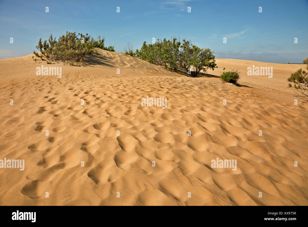NC-01228-00... NORTH CAROLINA - Sanddünen mit Mustern von Füßen und Wind an Jockey's Ridge State Park auf die Outer Banks in NagsHead. Stockfoto