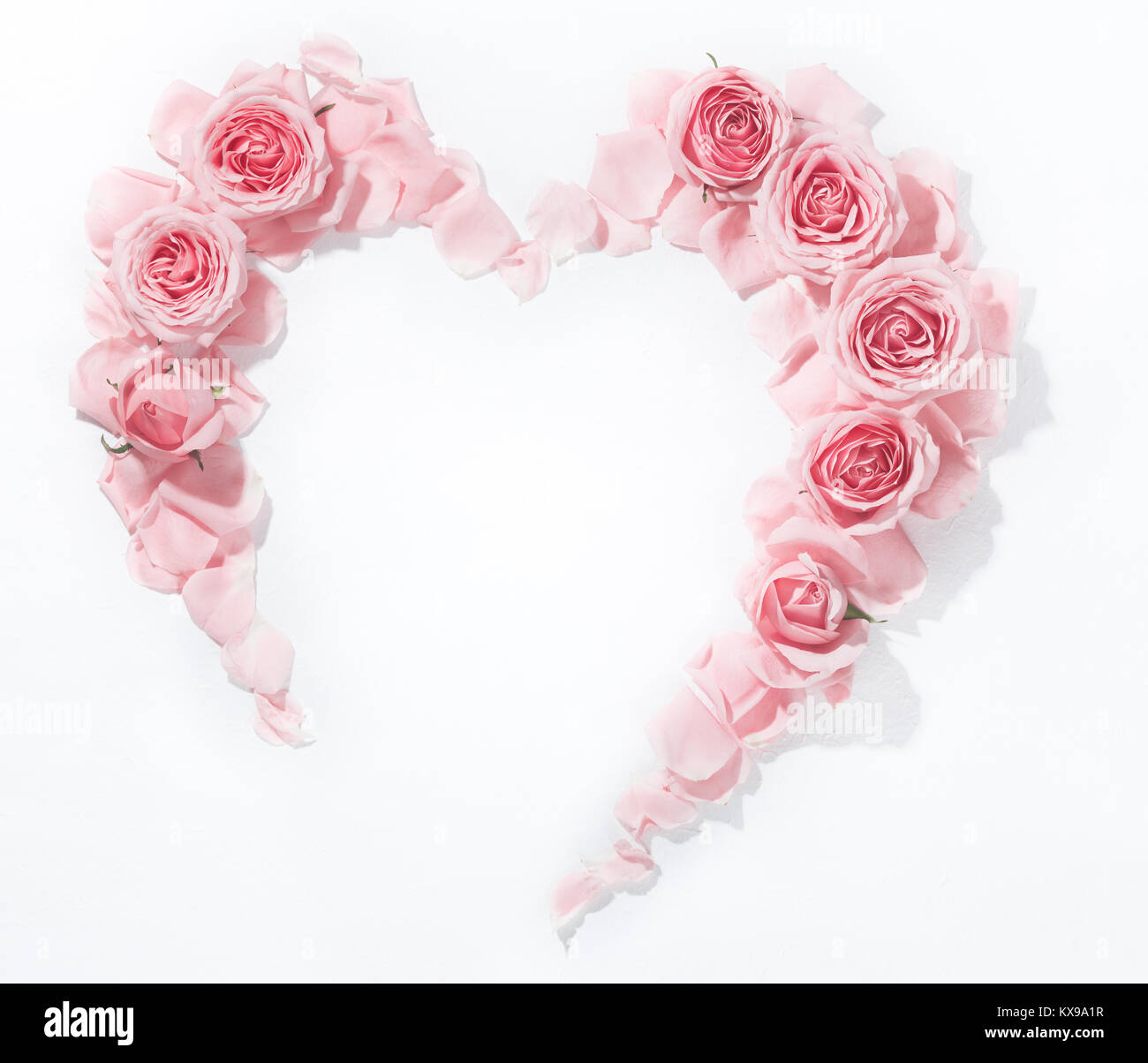 Herz aus frischen Rosenblättern Stockfoto
