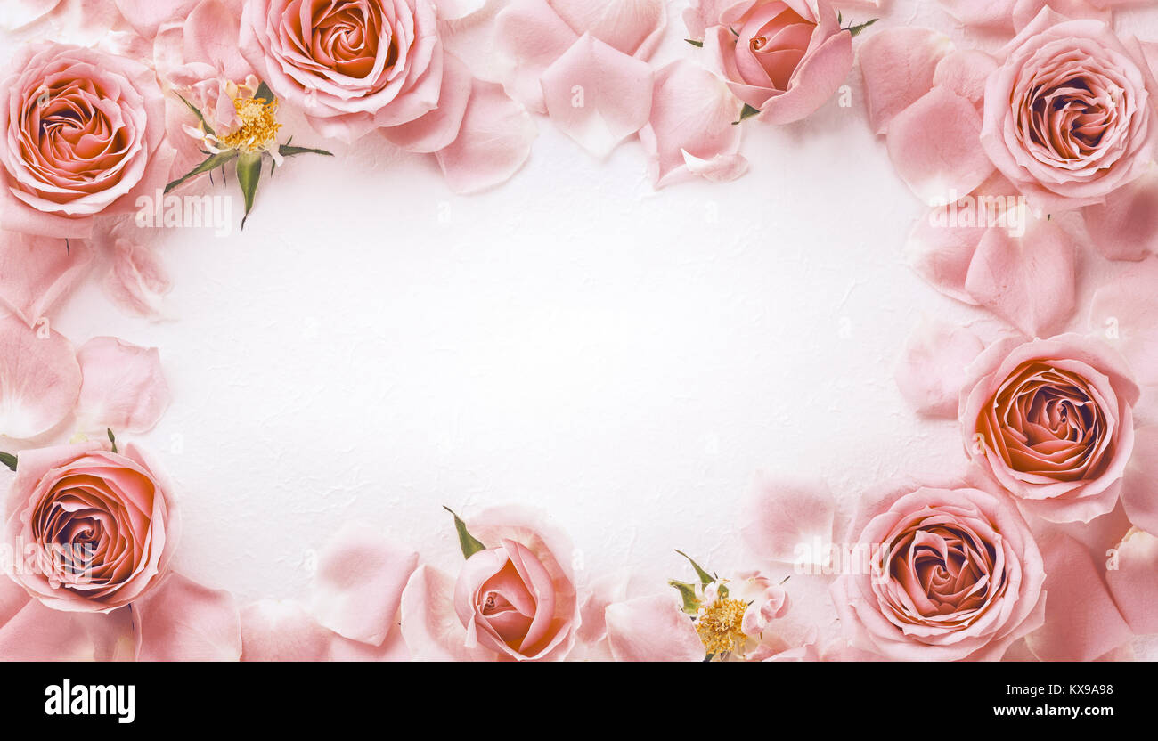 Rahmen mit rosa Rose Stockfoto