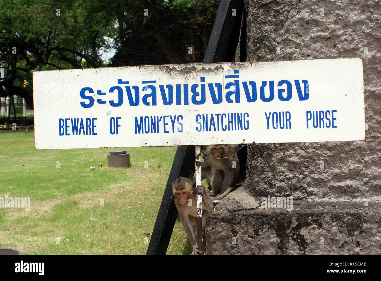 Vorsicht vor den Affen im Park, Thailand Stockfoto