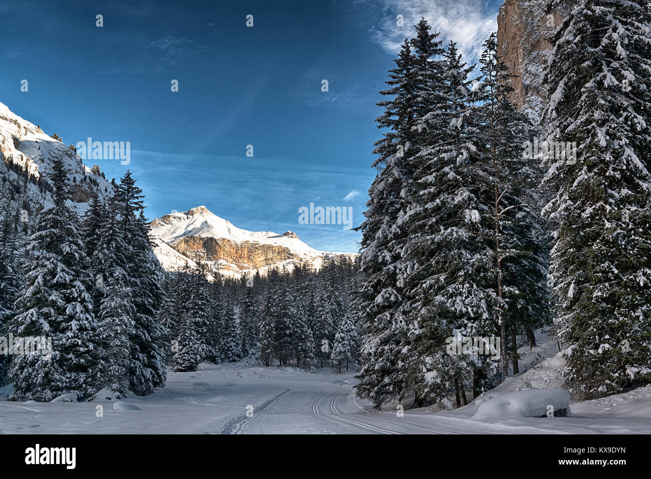 Pfad und Bäume in den verschneiten Wald mit Berg ein Wolken im Hintergrund, Gröden - Dolomiten, Südtirol Stockfoto