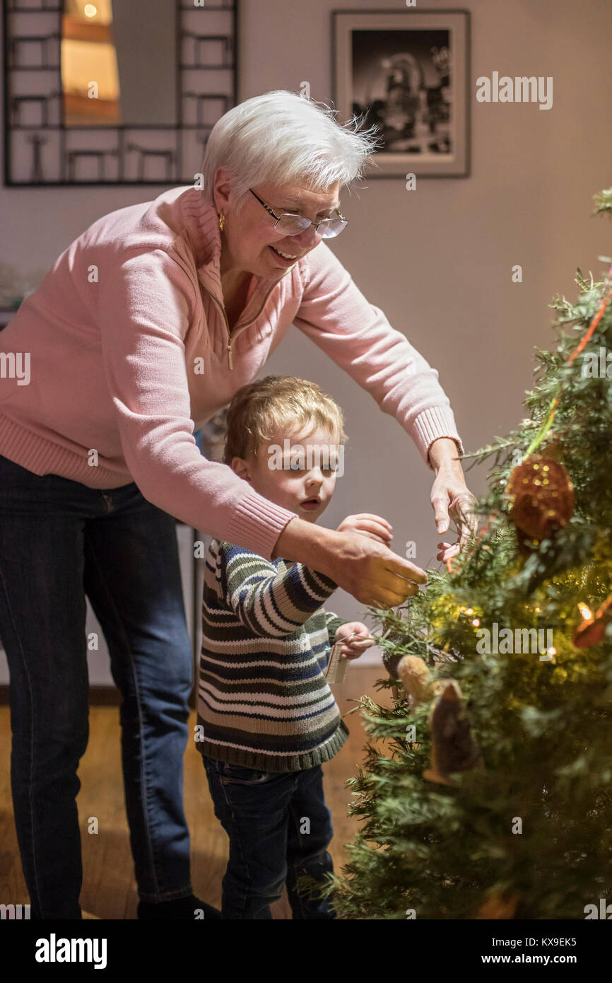 Wheat Ridge, Colorado - Susan Newell, 69, hilft, ihr Enkel, Adam Hjermstad jr., 3, den Weihnachtsbaum schmücken. Stockfoto