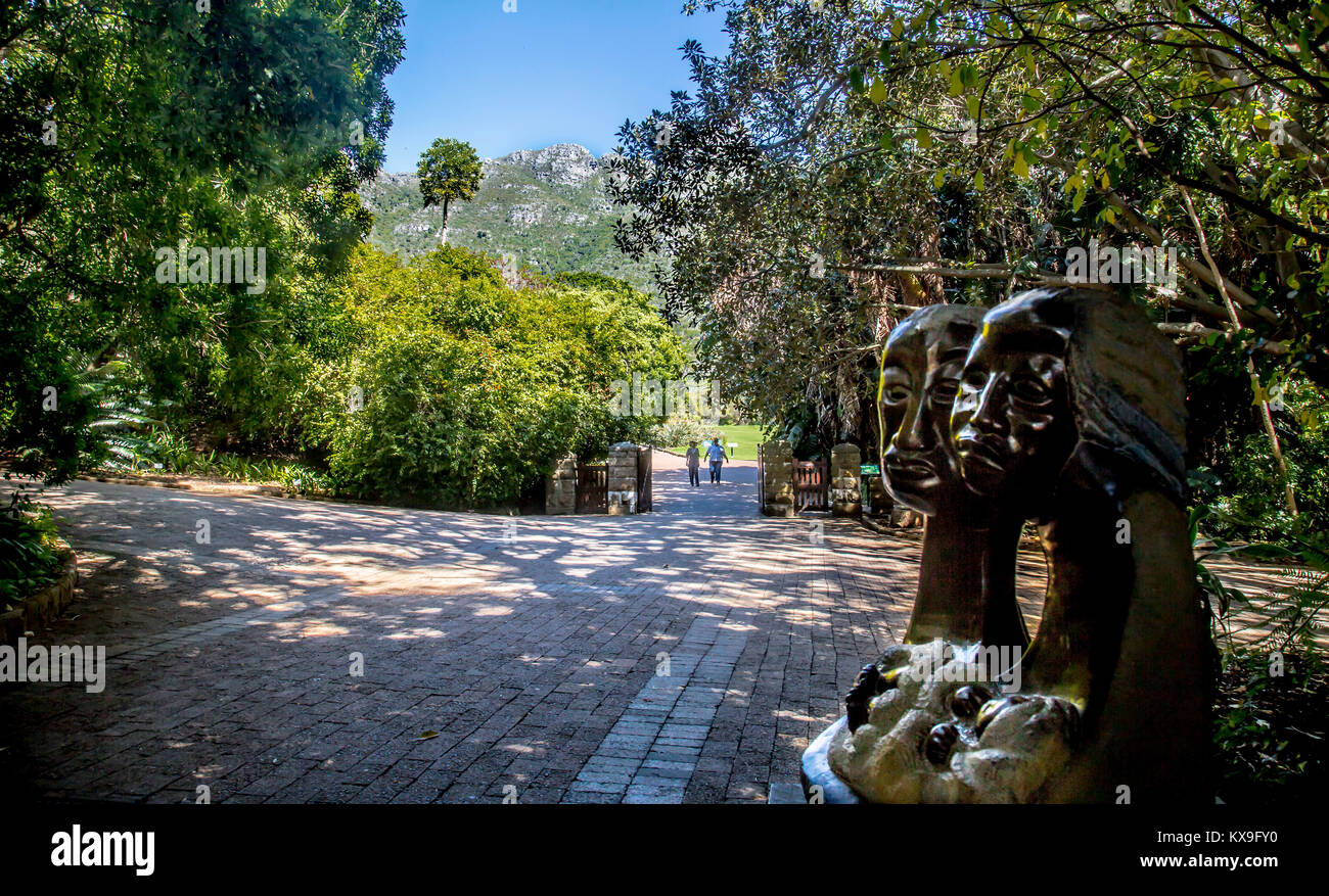 Kirstenbosch National Botanical Garden in der Nähe von Kapstadt, Südafrika Stockfoto