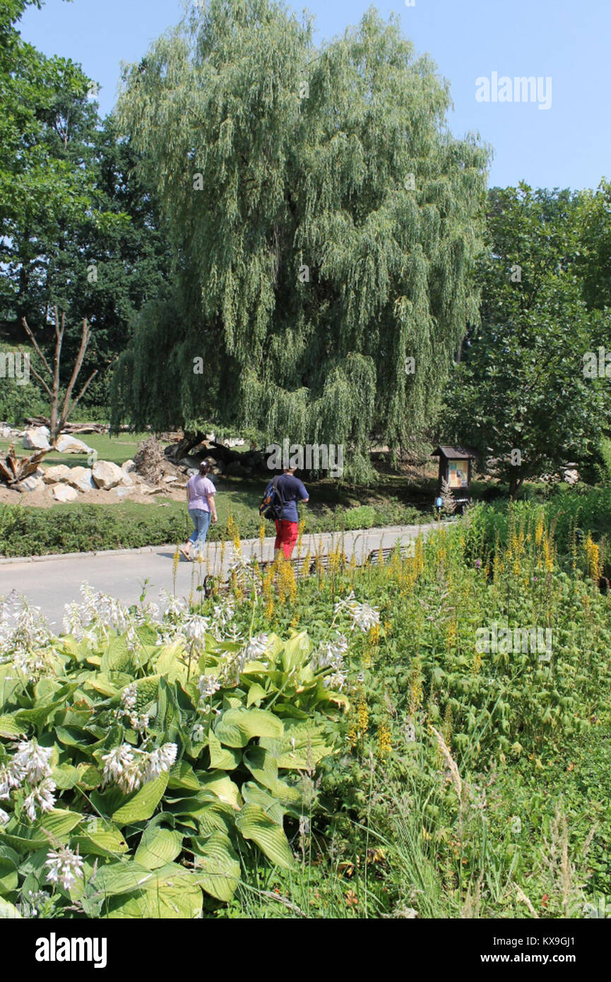 Abschnitt 5 eines digitalen Textes mit der Bezeichnung „m24cda139“, der ein Inhaltssegment in einem HTML-Format dokumentiert. Stockfoto