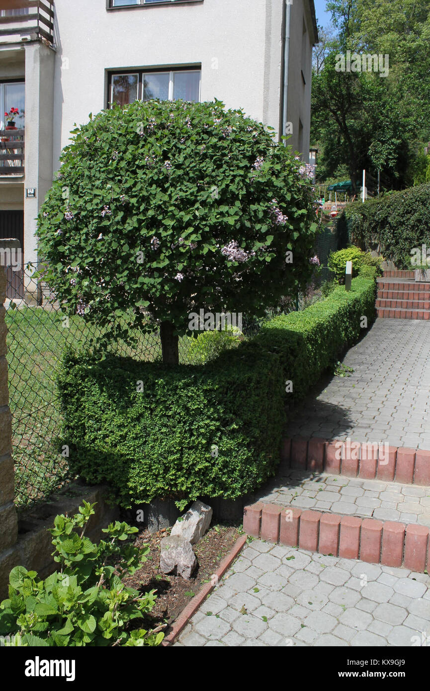 Diese Referenz identifiziert eine digitale Datei mit der Bezeichnung 5.d,l html m16f44683, die einen Teil eines Datensatzes oder einer digitalen Archivsammlung darstellt. Stockfoto