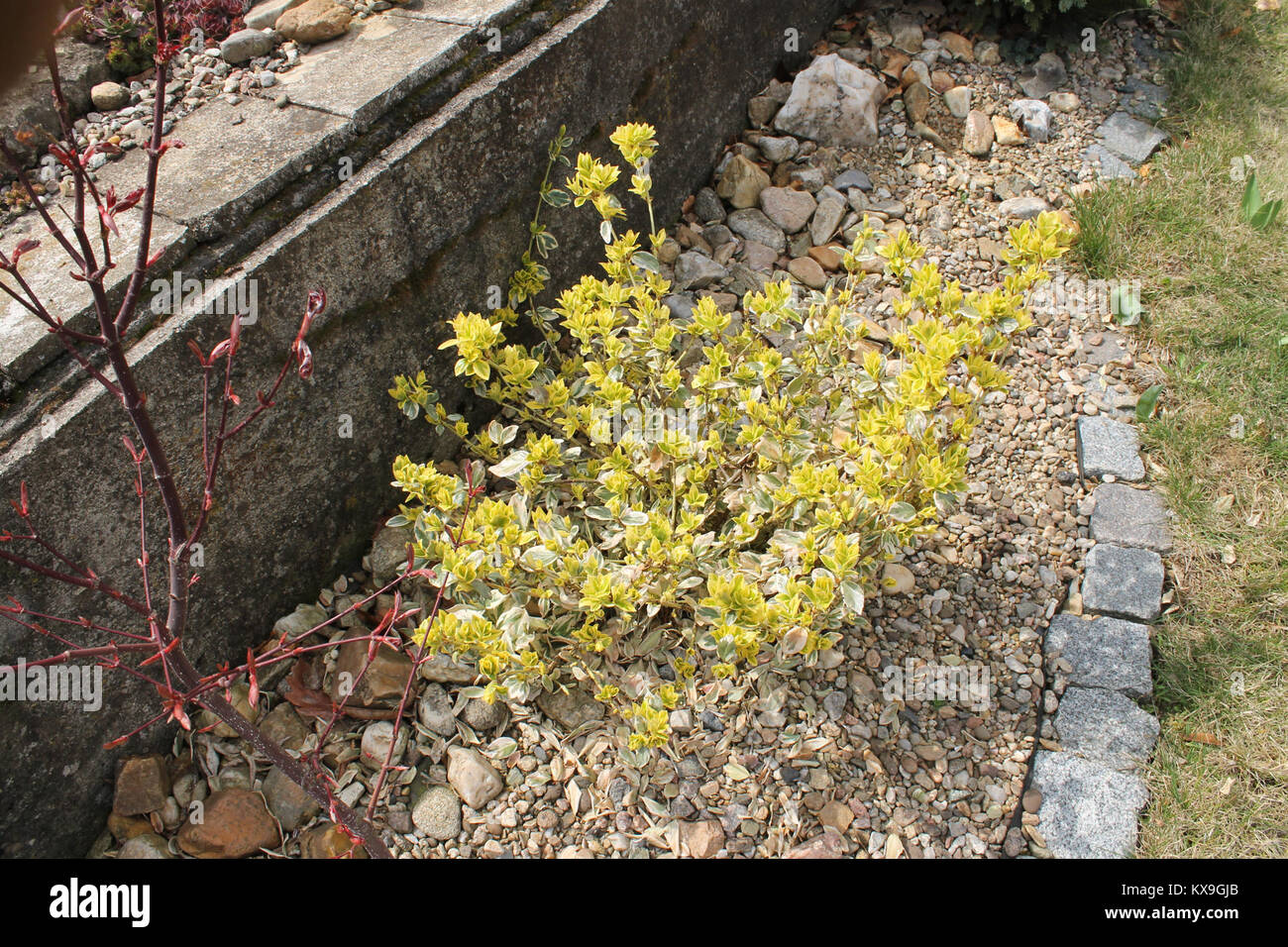 Diese Referenz weist auf eine digitale Datei mit der Bezeichnung 5.dl html m18709ce3 hin, die wahrscheinlich Teil der Webentwicklung oder der Verwaltung digitaler Inhalte ist. Stockfoto