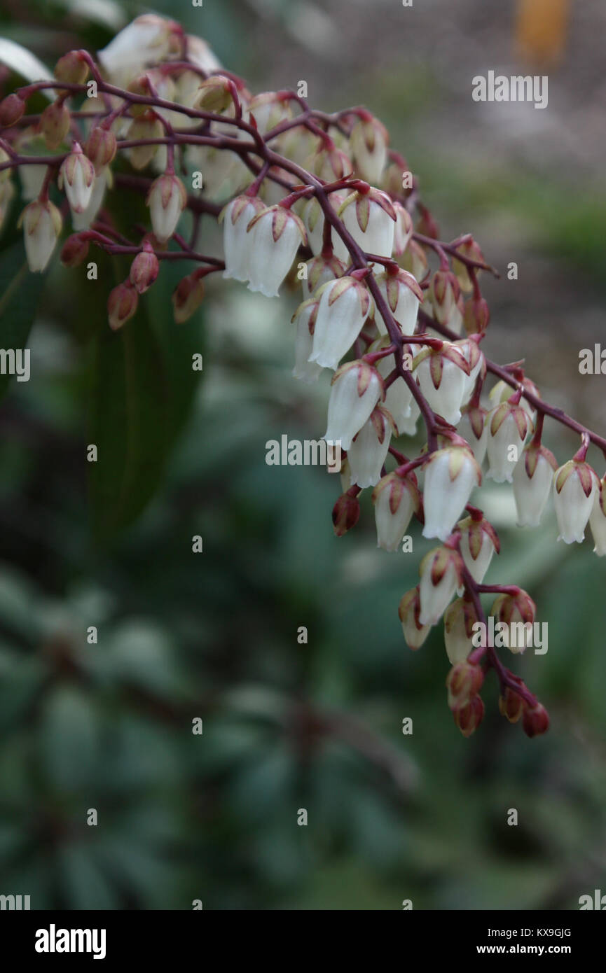 Der Titel „5.díl html m198beae3“ ist unklar und bietet nicht genügend Kontext, um eine faktische Beschriftung zu generieren. Stockfoto