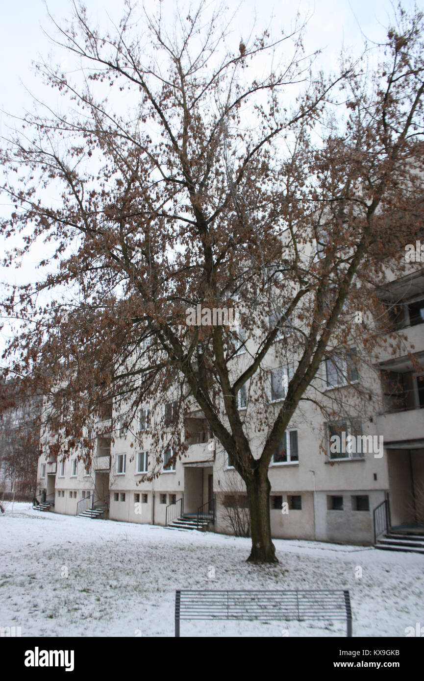 Dieser Eintrag scheint ein digitales oder HTML-Dokument aus einer Serie mit der Bezeichnung „5.díl“ zu sein, in der nur begrenzte Kontextinformationen zur Beschreibung verfügbar sind. Stockfoto