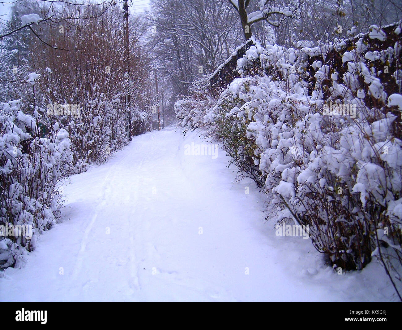 Der Titel „5.díl html m41a2ad1“ ist unklar und es fehlt der Kontext, um eine faktische Beschriftung zu generieren. Stockfoto