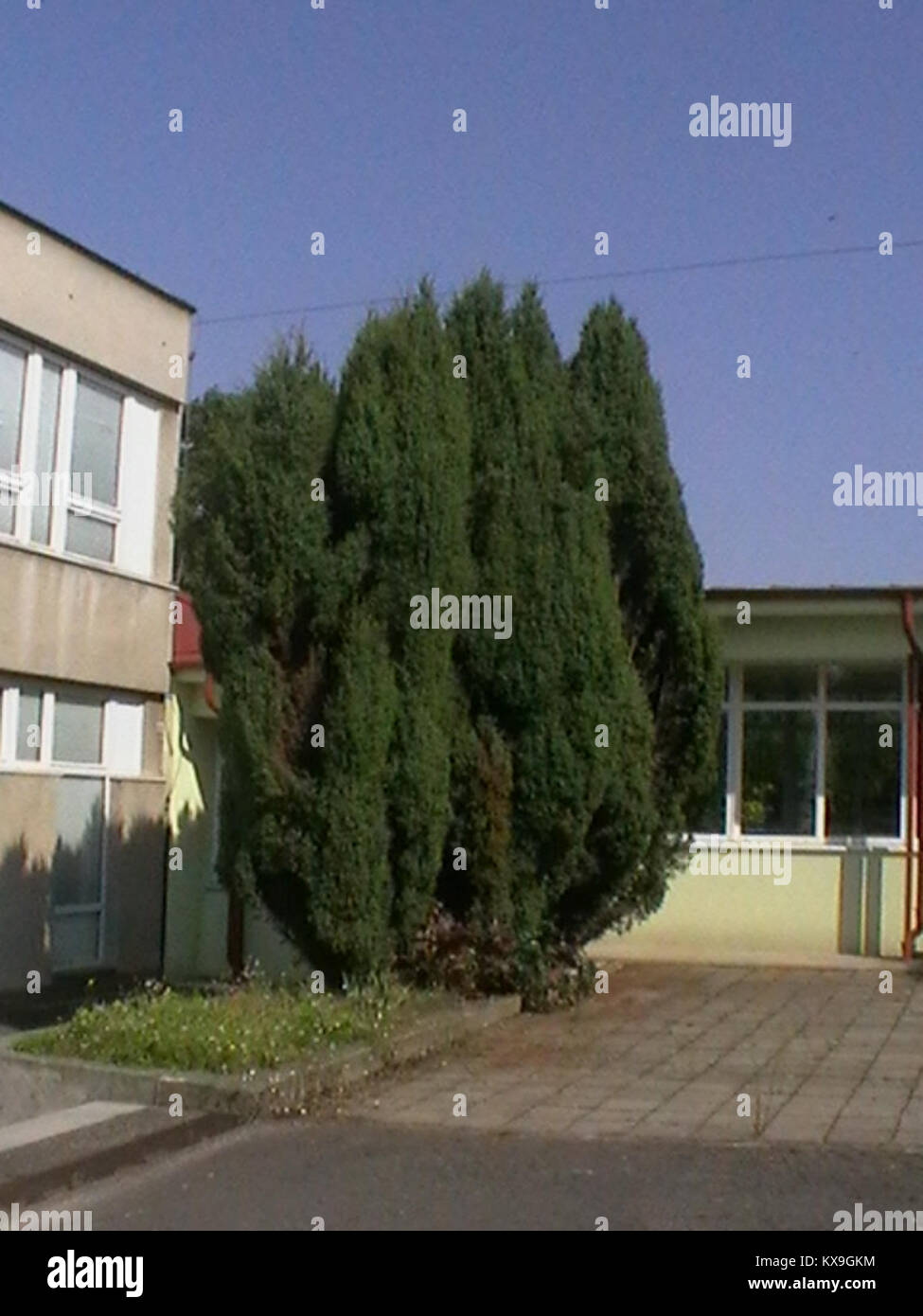 Ein abstraktes oder technisches Bild oder Dokument in Bezug auf „5.dł html m434f445c“, möglicherweise eine codierte oder klassifizierte Referenz. Stockfoto