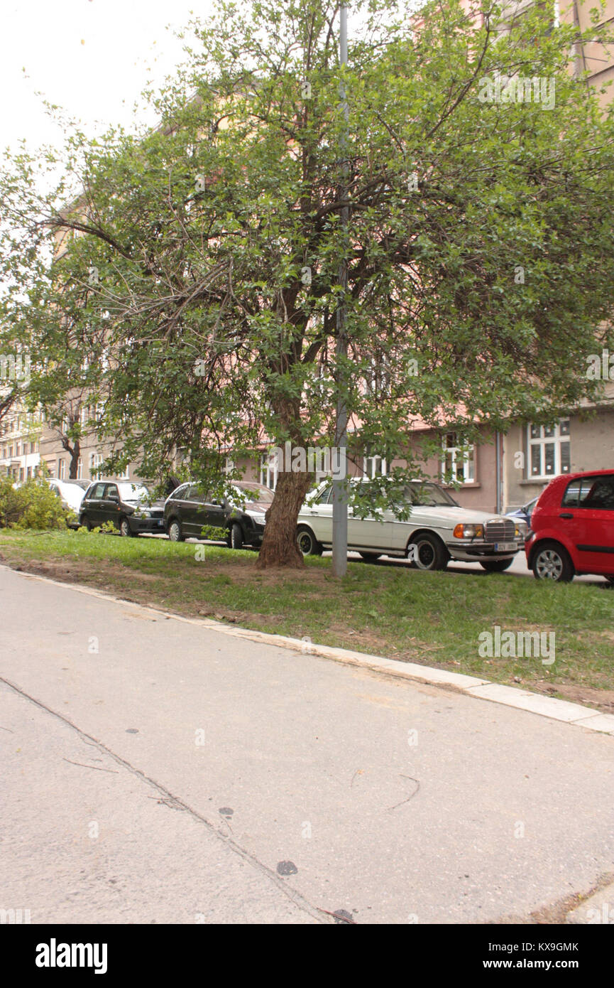 Dieser Titel bezieht sich auf eine digitale Datei mit der Bezeichnung „5.díl html m57df1107“. Format und Inhalt sind nicht angegeben und erfordern eine weitere Überprüfung. Stockfoto