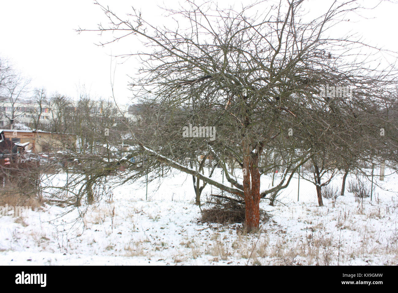 Dieser Titel bezieht sich auf eine digitale Datei mit der Bezeichnung „5.díl html m63e4dcc18“. Inhalt und Format sind nicht spezifiziert und müssen weiter identifiziert werden. Stockfoto