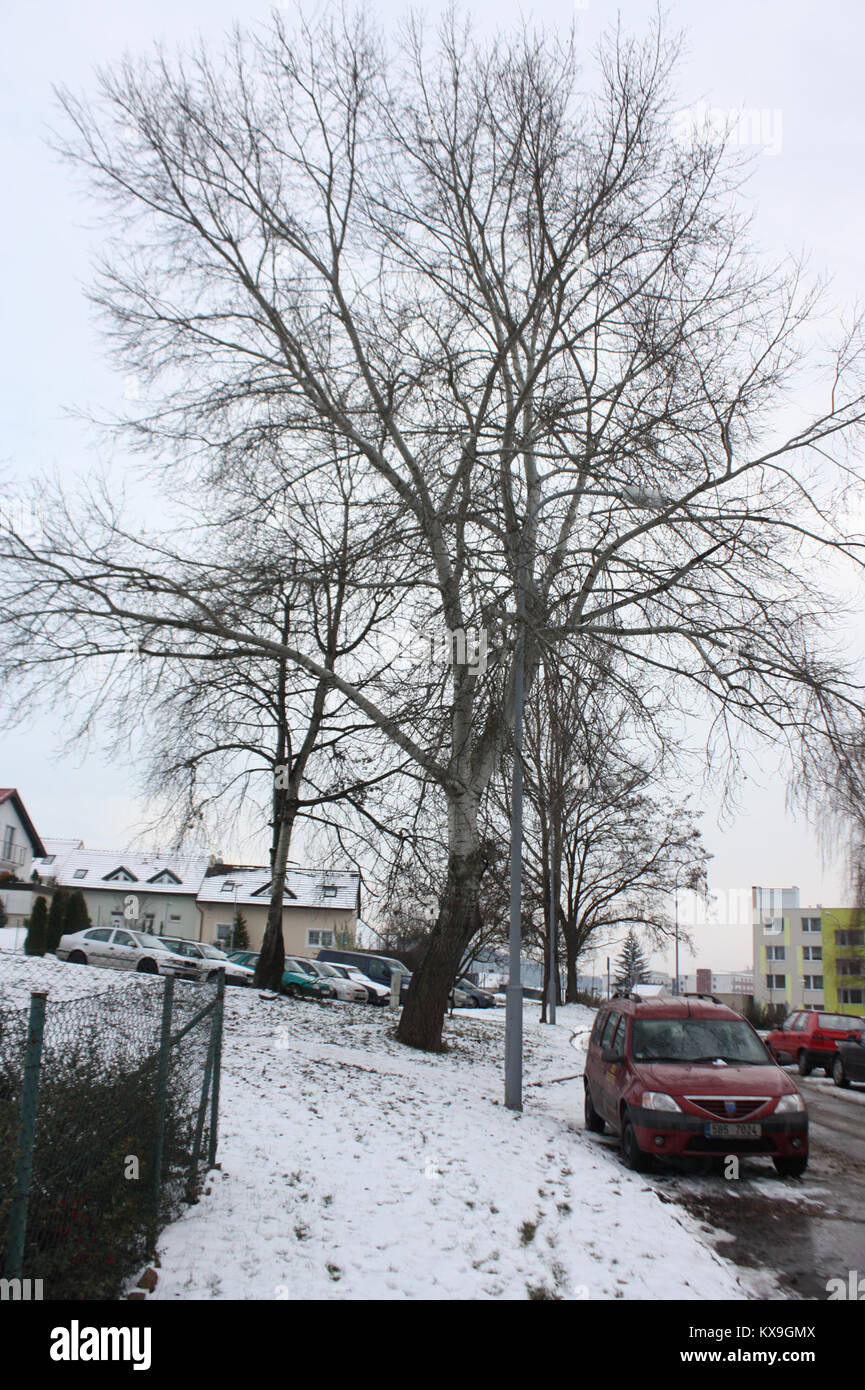 Dies ist der sechste Abschnitt eines HTML-Dokuments, in dem strukturierte digitale Inhalte wie Text, Bilder und interaktive Elemente dargestellt werden. Stockfoto