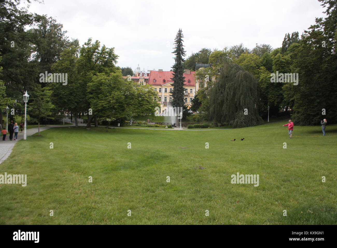 Dieses Dokument ist der fünfte Teil einer technischen HTML-Reihe, die sich mit der Struktur von Webseiten, der Formatierung von Inhalten und der Codierung befasst Stockfoto