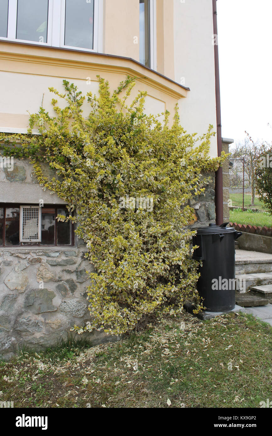 Dieser Eintrag scheint ein digitales oder HTML-Dokument aus einer Serie mit der Bezeichnung „5.díl“ zu sein, mit begrenzten Kontextinformationen zur Beschreibung. Stockfoto