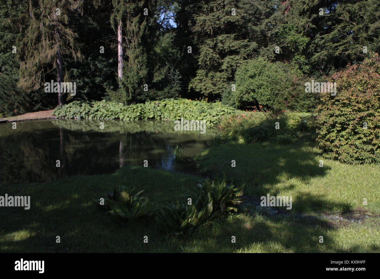 Dokument oder digitale Datei mit der Bezeichnung „6.díl“, die Inhalte aus einer größeren Sammlung bereitstellt und HTML formatiert, ohne dass zusätzliche visuelle oder kontextbezogene Informationen verfügbar sind. Stockfoto