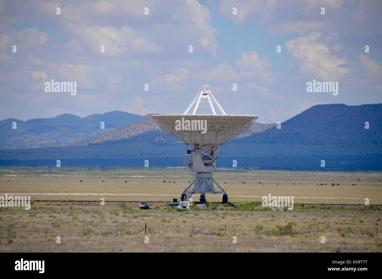 Sehr große Reihe National Radio Astronomy Observatory New Mexiko USA Stockfoto