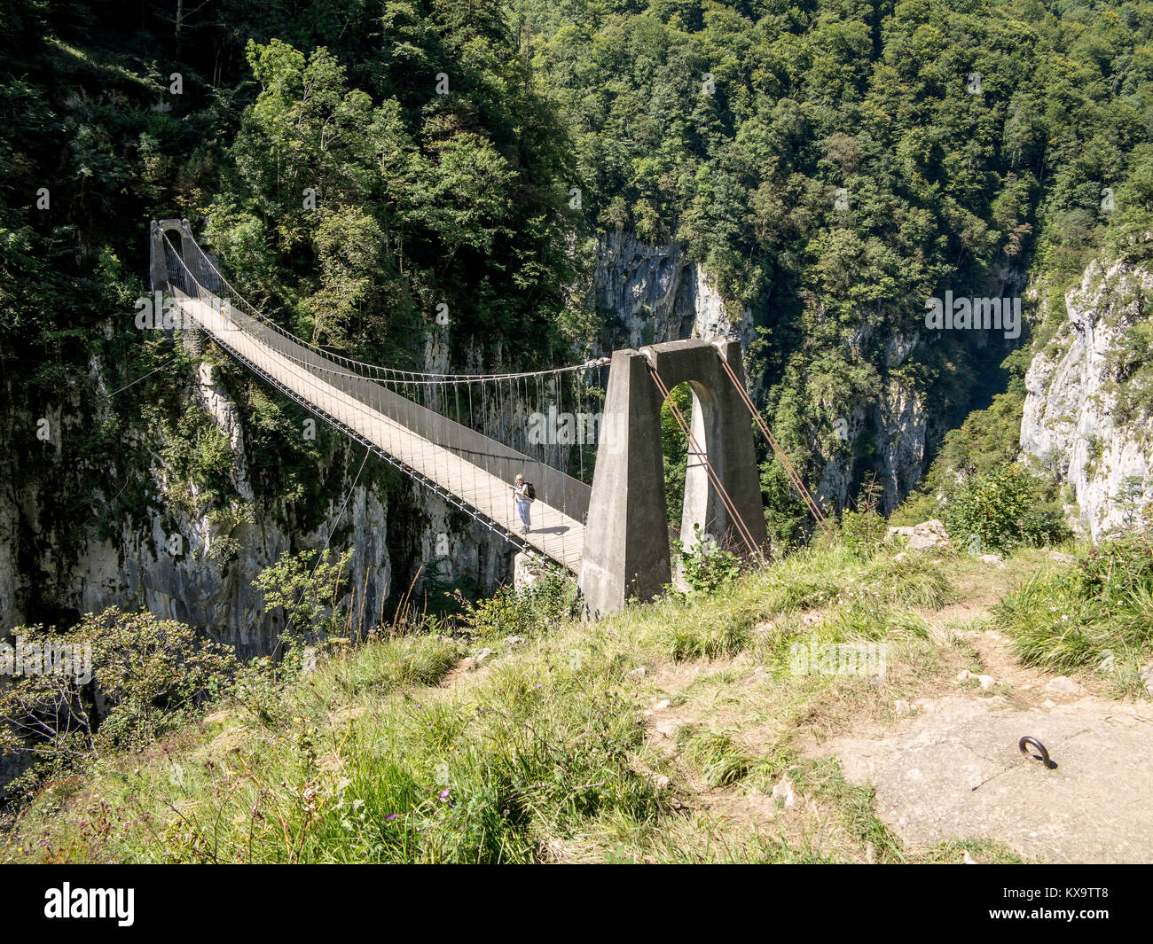 Holzarté Suspension Bridge Stockfoto