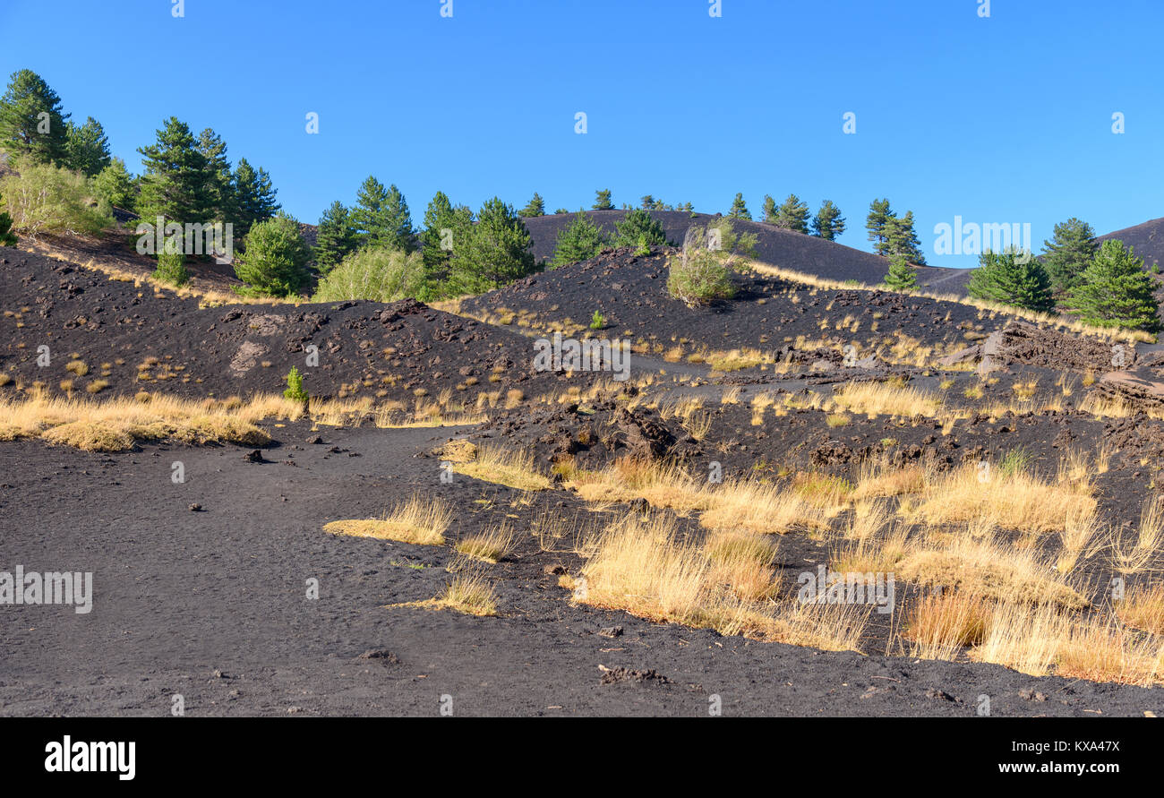 Vulkan Ätna, mount Sartorius, Sizilien, Italien, das eruptive Kegel von 1865 Stockfoto