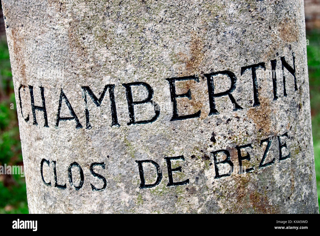 CHAMBERTIN CLOS DE BEZE Weinberg Markierungsstein der Domaine Jacques Prieur Chambertin-Clos de Beze Gervey-Chambertin Cote de Nuits Burgund Frankreich Stockfoto