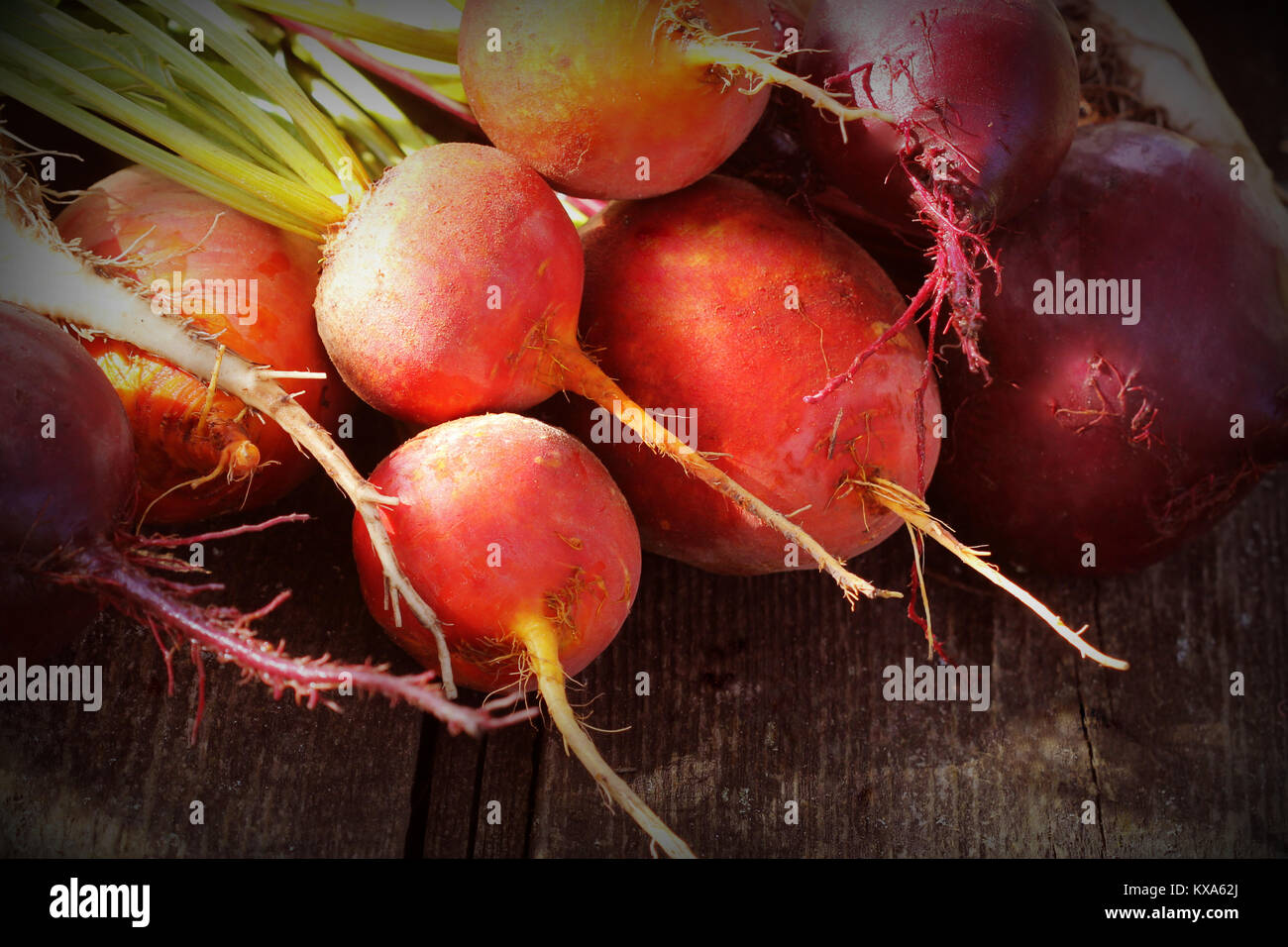 Frischen landwirtschaftlichen Bunte rote Bete auf einer hölzernen Hintergrund. Detox und Gesundheit. Selektive konzentrieren. Rot, golden, weiße Rüben Stockfoto