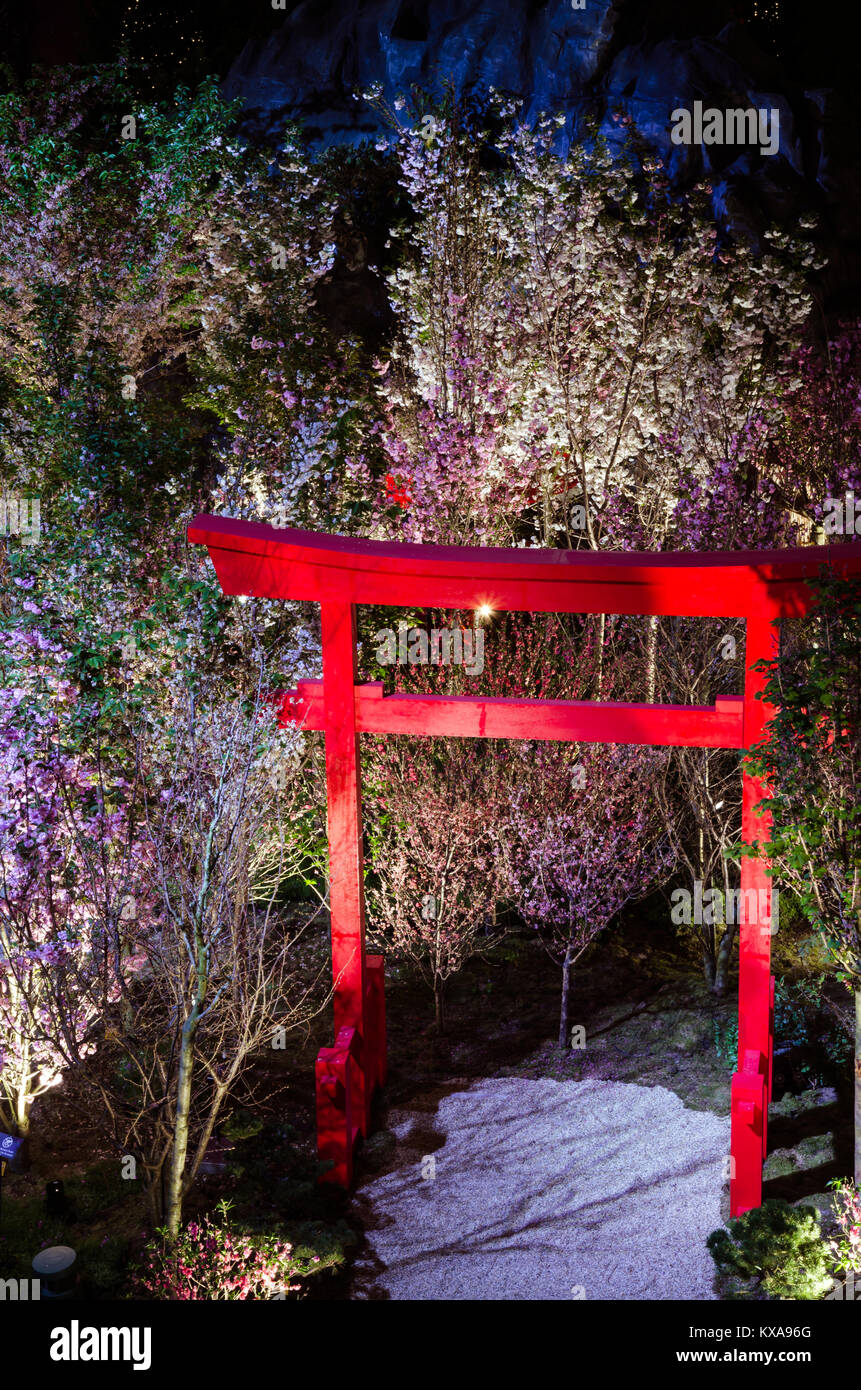 Torri Tor gehüllt durch die zarten rosa Blüten von Sakura Blumen und