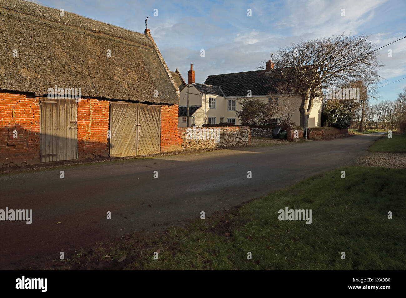 Buche Farm Hempstead, Lessingham, Norfolk Dezember Stockfoto