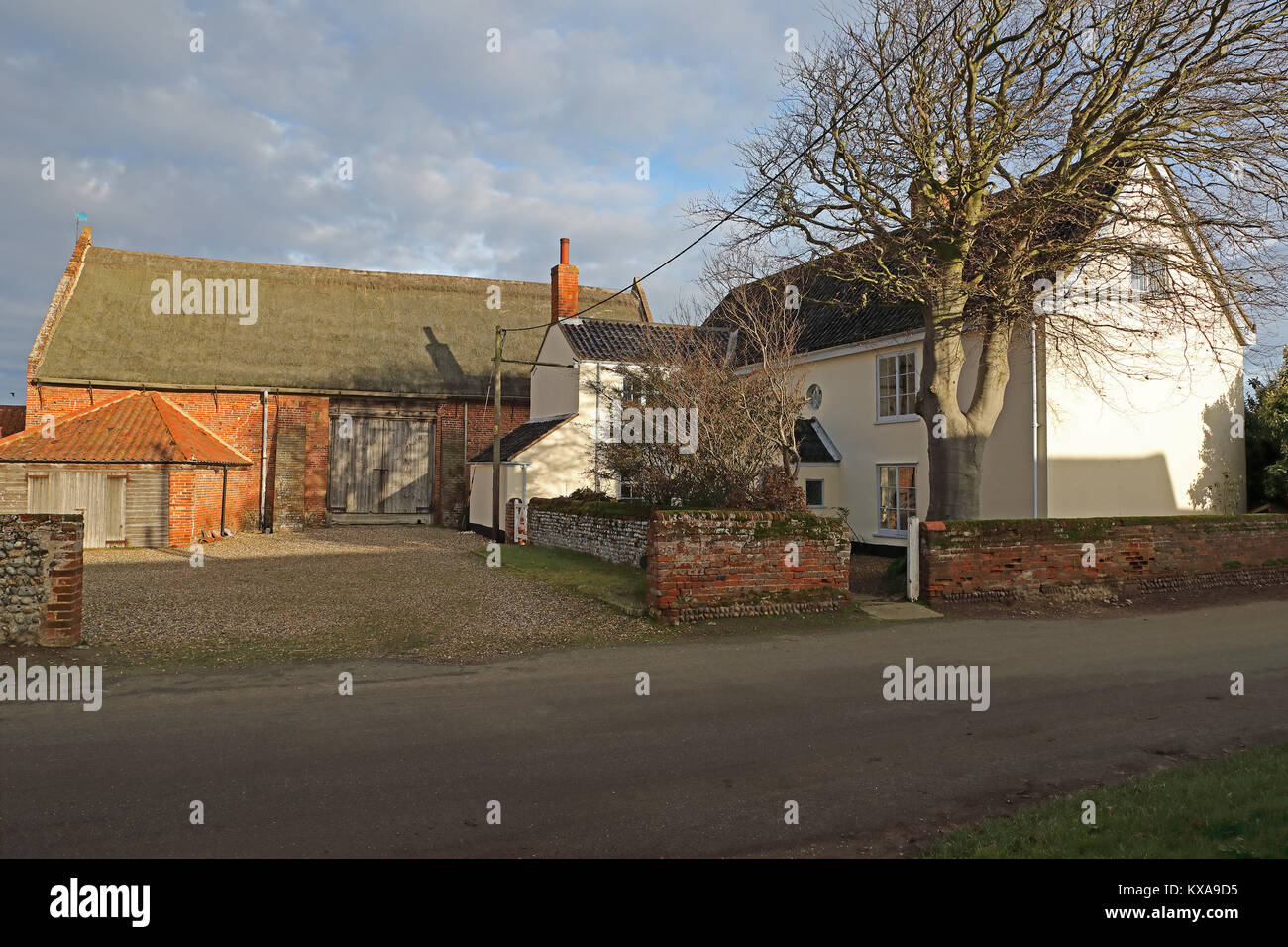 Buche Farm Hempstead, Lessingham, Norfolk Dezember Stockfoto