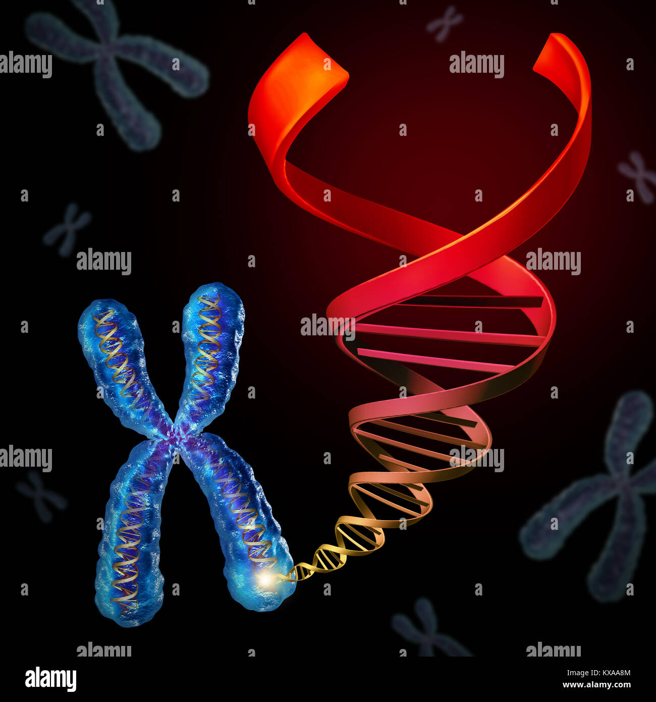 Chromosom DNA als genetisches Material in Chromosomen als Biotechnologie und Gentherapie oder Immuntherapie Konzept als 3D-Darstellung. Stockfoto