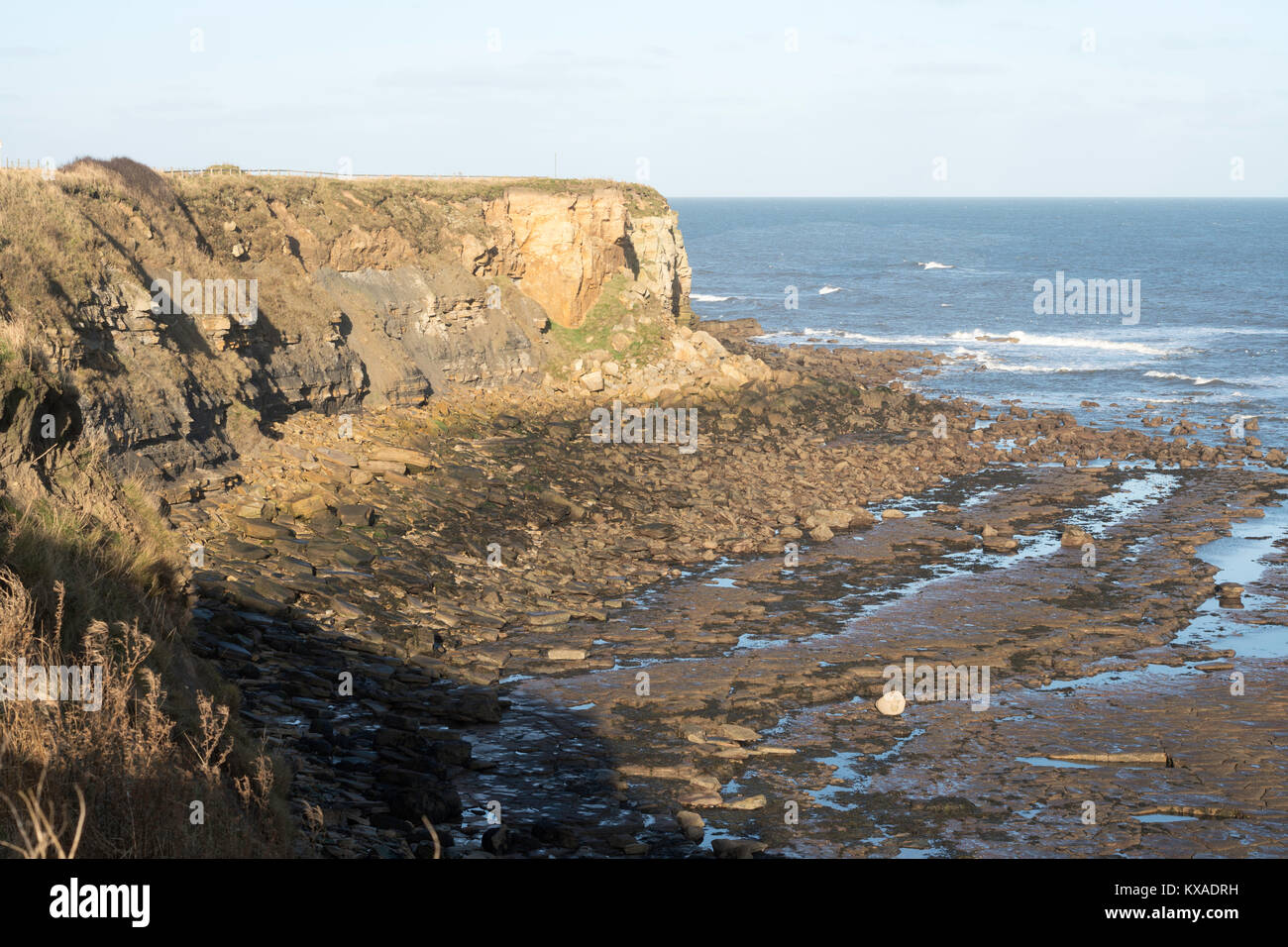 Erodiert Klippen nördlich von St Mary's Island und nähert sich Seaton Sluice, Northumberland, England, Großbritannien Stockfoto