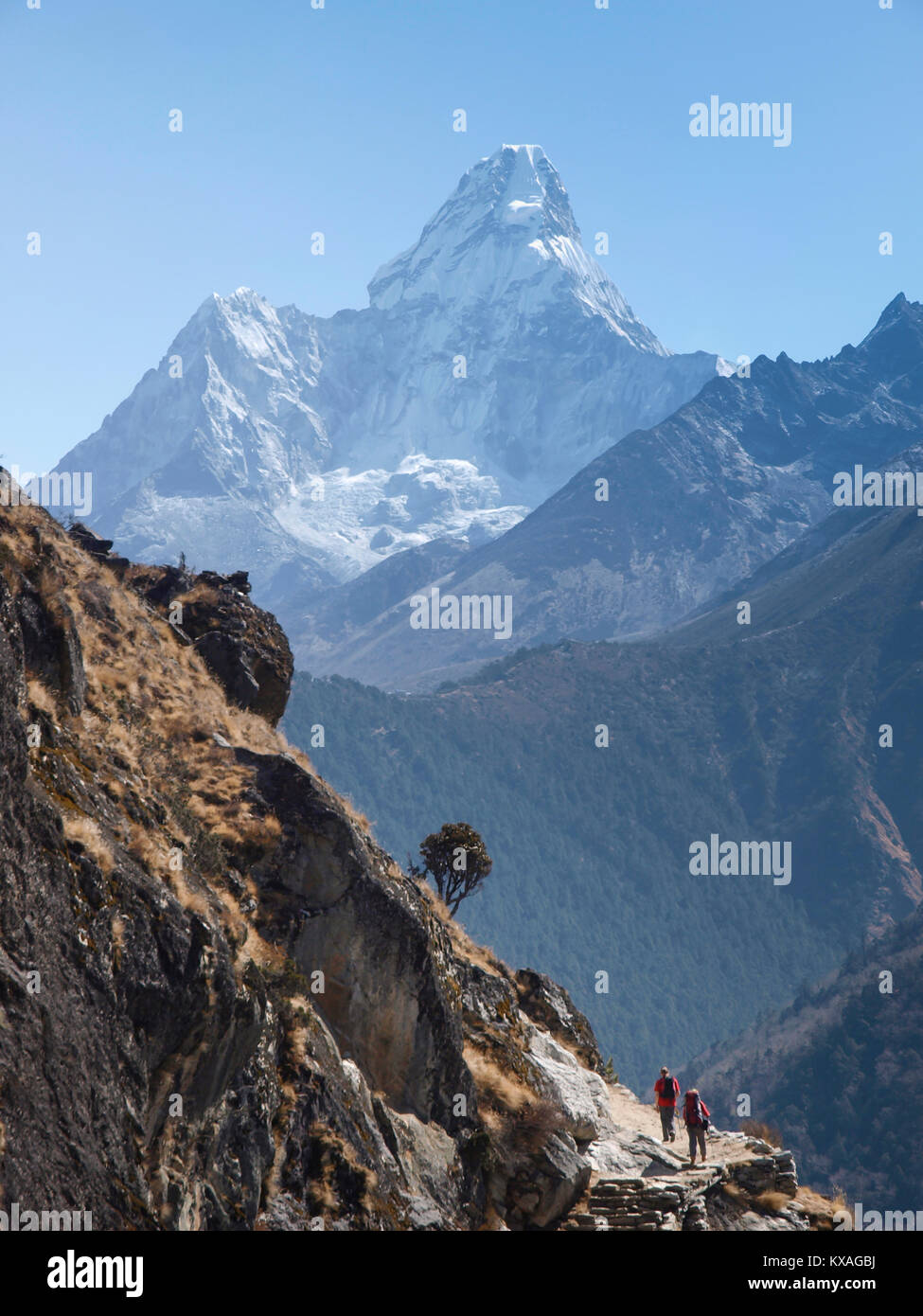 Wanderer vor der Ama Dablam auf dem Weg zum Everest Base Camp in Khumbu Valley, Lukla, Nepal Stockfoto