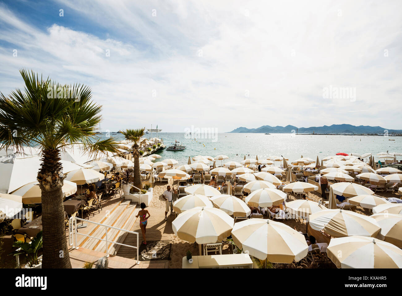 Lido, Cannes, Côte d'Azur, Provence - Alpes - Côte d'Azur, Südfrankreich, Frankreich Stockfoto