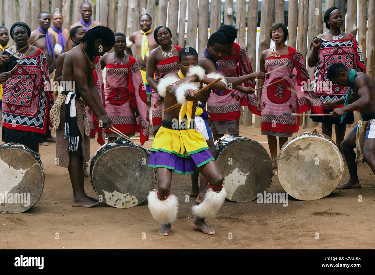 Indianer Tanz, Gesang und Schlagzeug spielen während der traditionellen afrikanischen zeigen, Swasiland Stockfoto