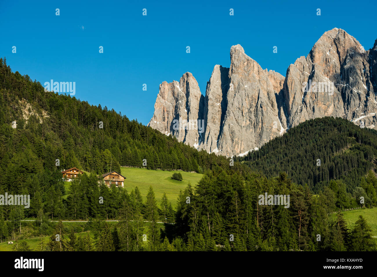 Bauernhöfe in der Geislergruppe, Santa Maddalena, Villnößtal, Dolomiten, Südtirol, Italien Stockfoto