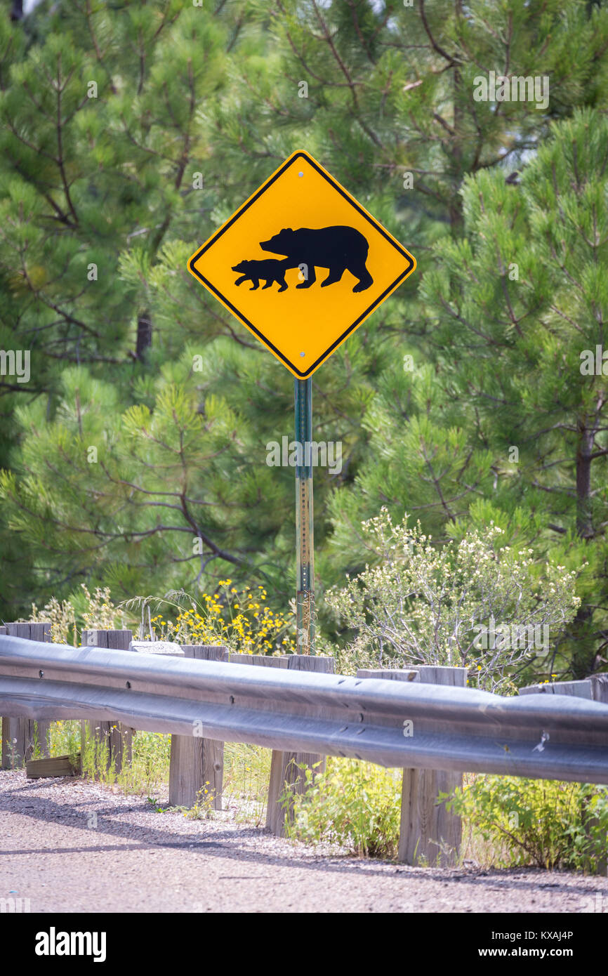 Warnzeichen, Bären, Bär überfahrt, Santa Catalina Mountains, Arizona, USA Stockfoto