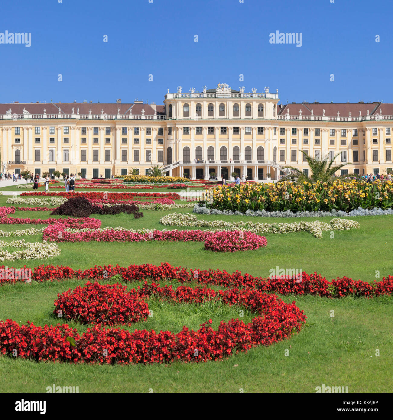 Schloss Schönbrunn mit Blumenbeet, Wien, Österreich Stockfoto