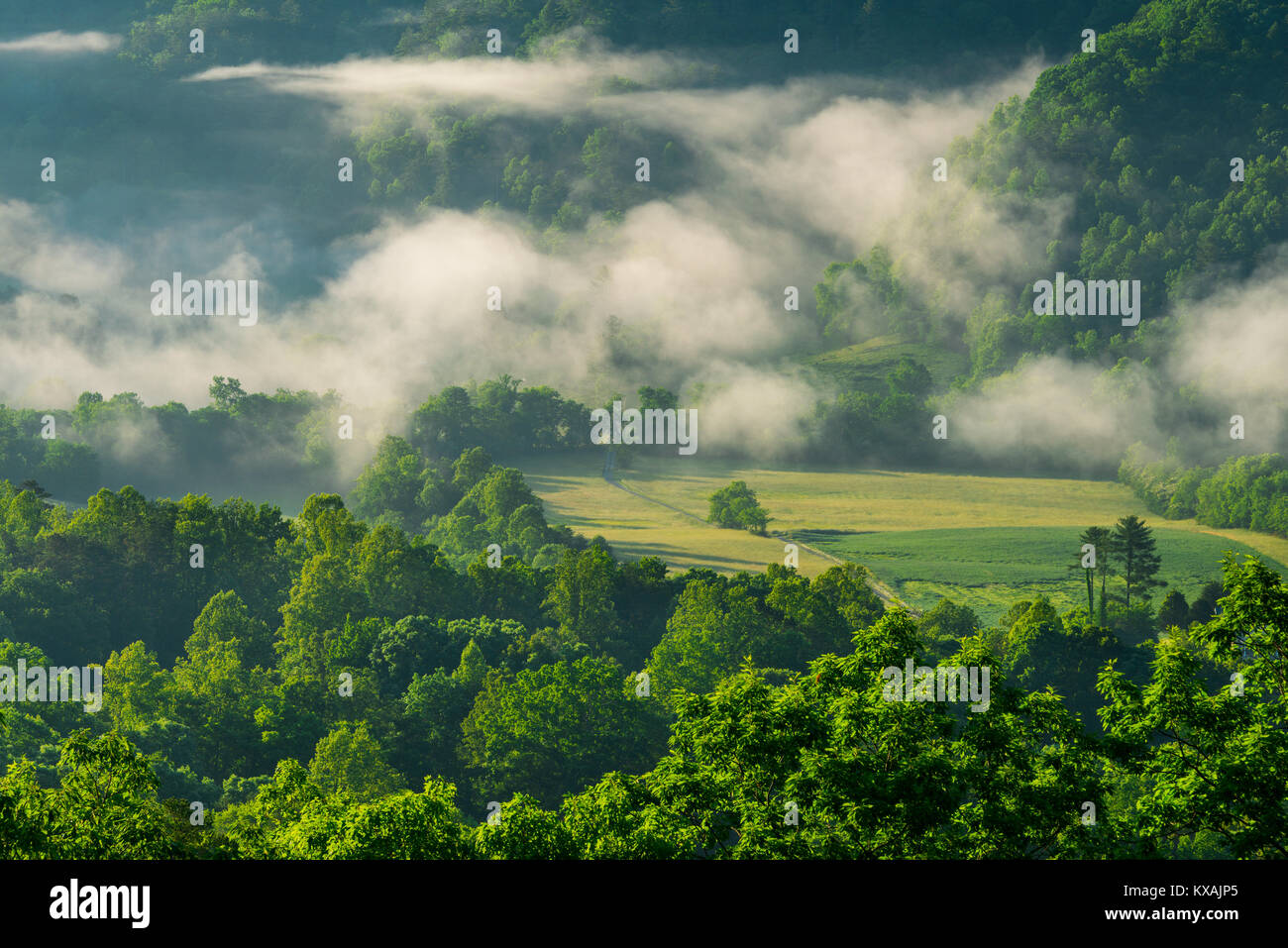 Foothills Parkway, Great Smoky Mountains, Tennessee, USA, von Bill Lea/Dembinsky Foto Assoc Stockfoto