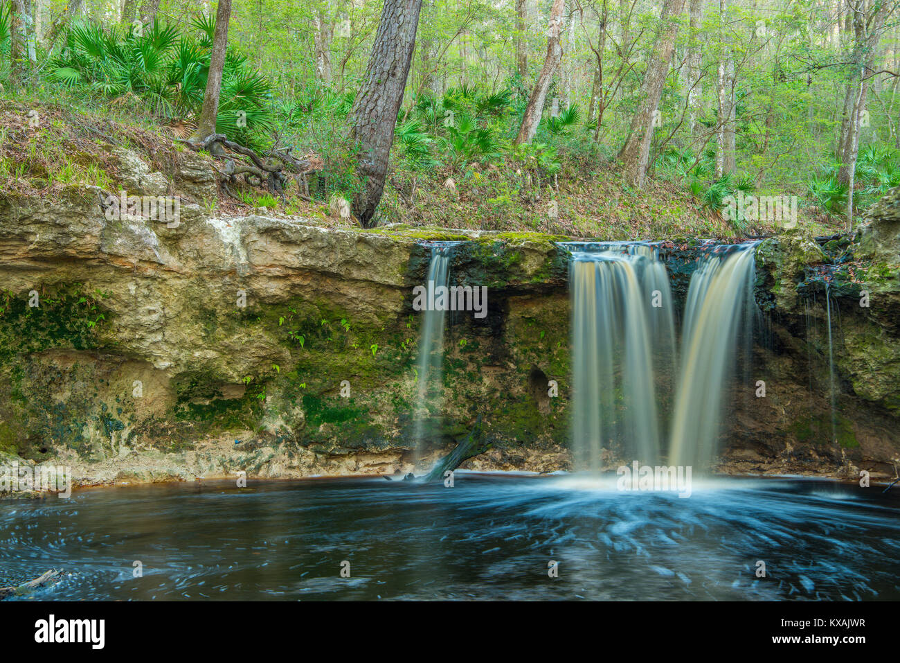 Der Creek Falls, fallende Creek Falls Park, Florida, USA, von Bill Lea/Dembinsky Foto Assoc Stockfoto