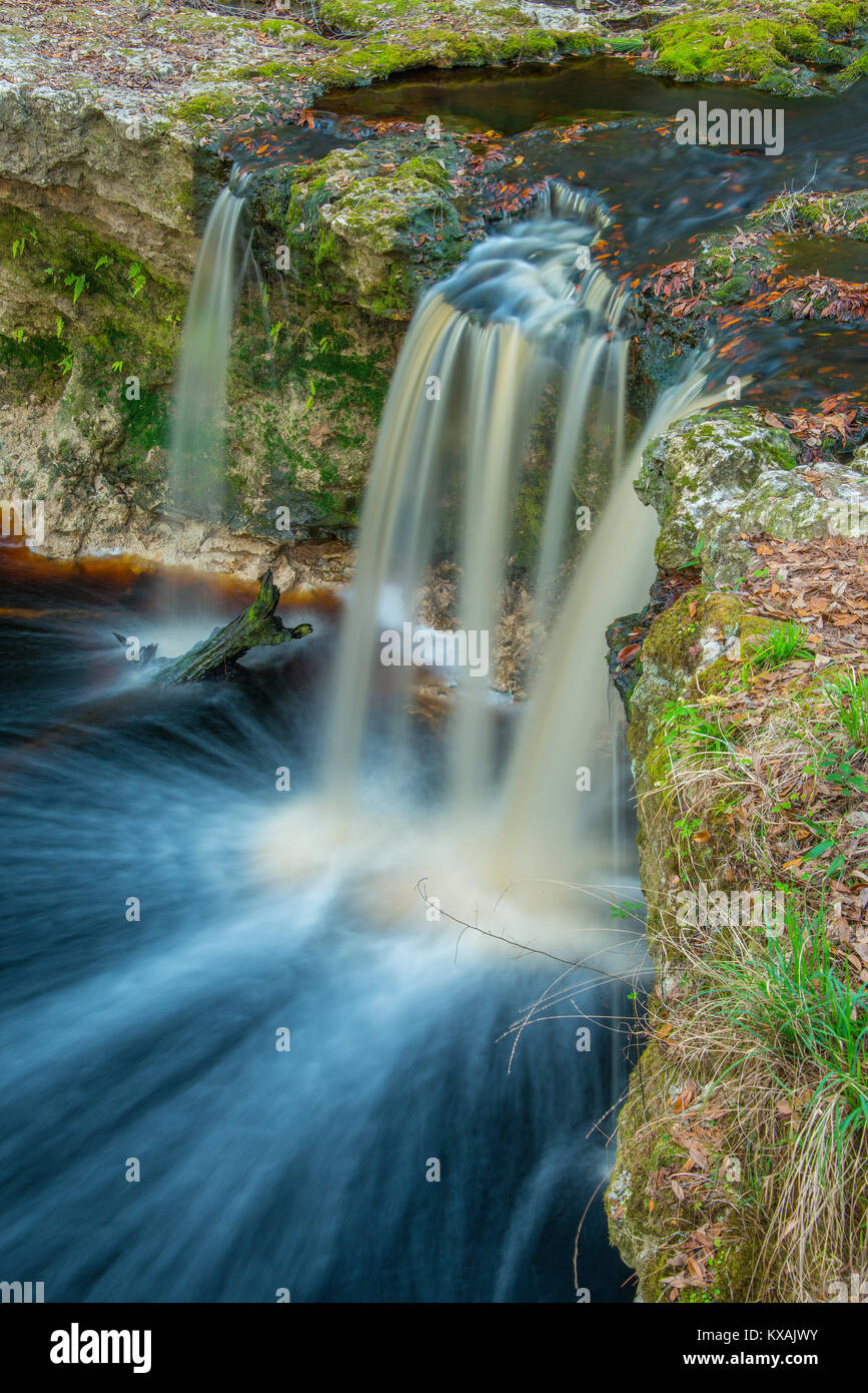 Der Creek Falls, fallende Creek Falls Park, Florida, USA, von Bill Lea/Dembinsky Foto Assoc Stockfoto