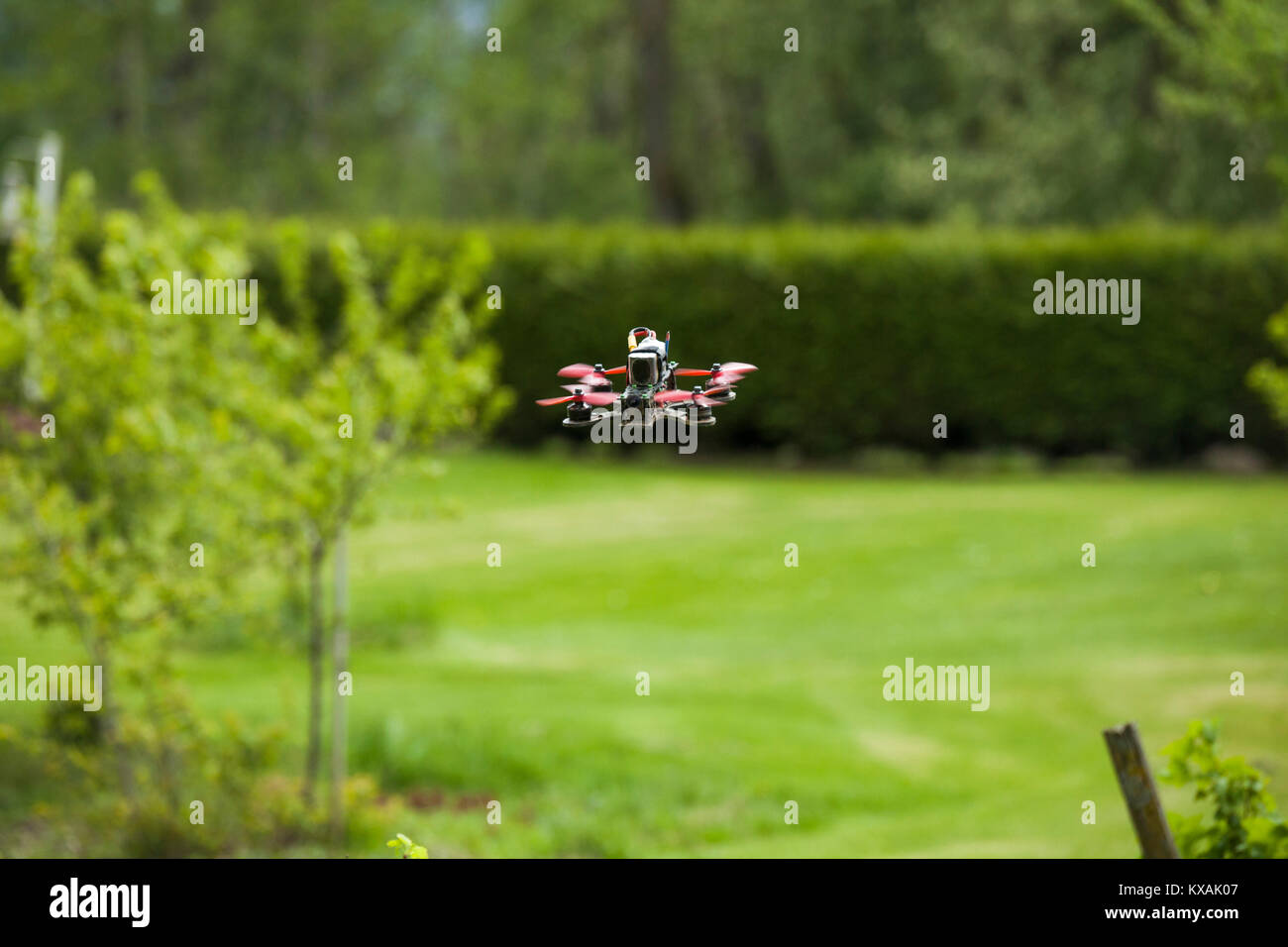 Drohne fliegen über Gras, Chilliwack, British Columbia, Kanada Stockfoto