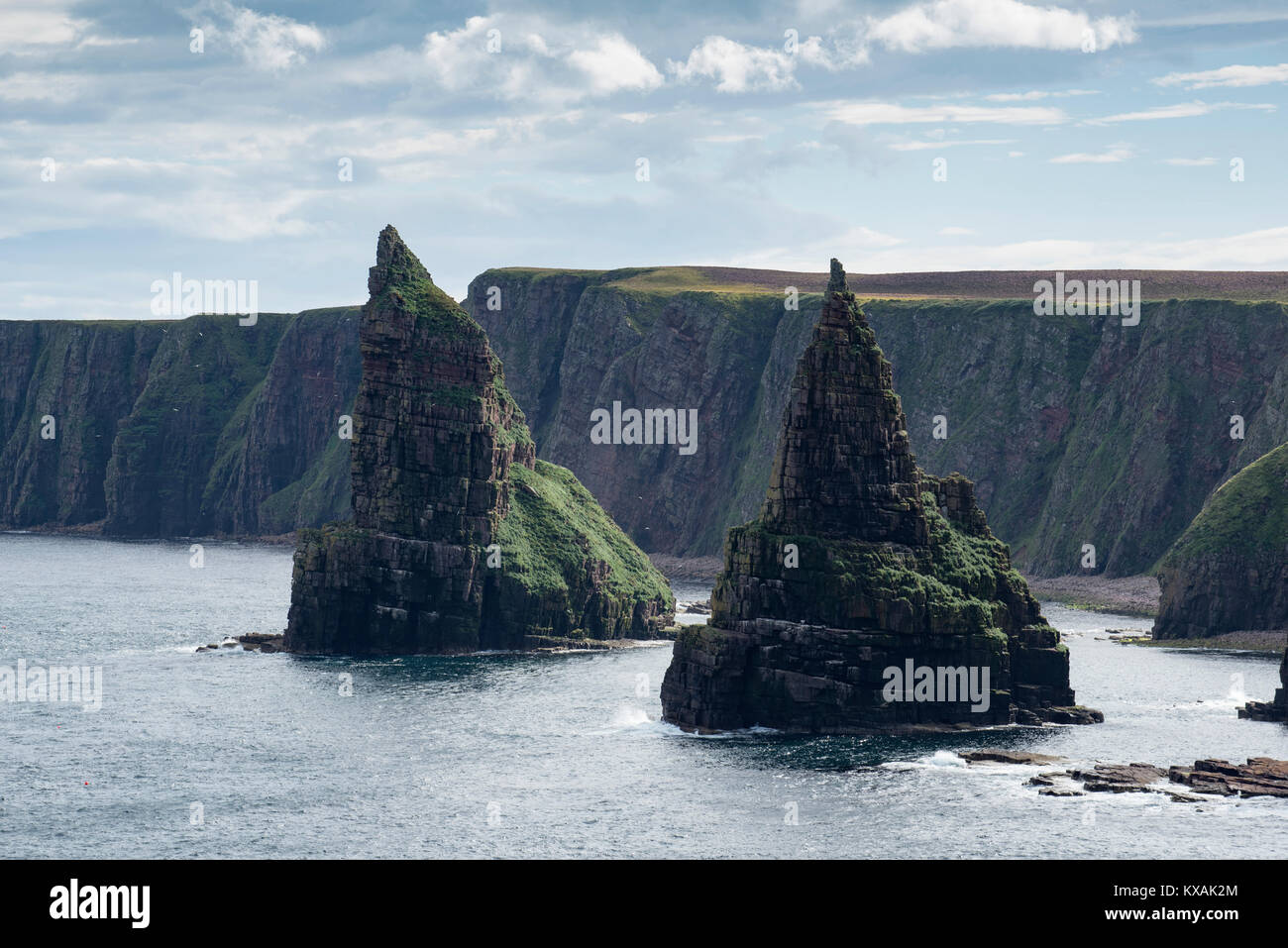 Zerklüftete Küstenlandschaft mit den Fels spitzen Duncansby Stacks, Küste von Duncansby Head, Grafschaft Caithness, Schottland Stockfoto