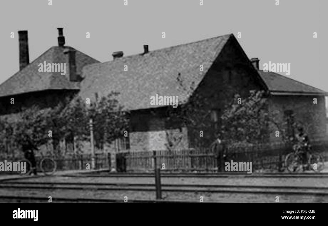 Dies ist ein Archivfoto aus dem Jahr 1883 des Bahnhofs Grischino (heute Teil der Stadt Pokrowsk, früher Krasnoarmeysk) in der Region Donezk, das das Bahnhofsgebäude um 1883 an der Bahnstrecke Jekaterinininskaja zeigt. Stockfoto