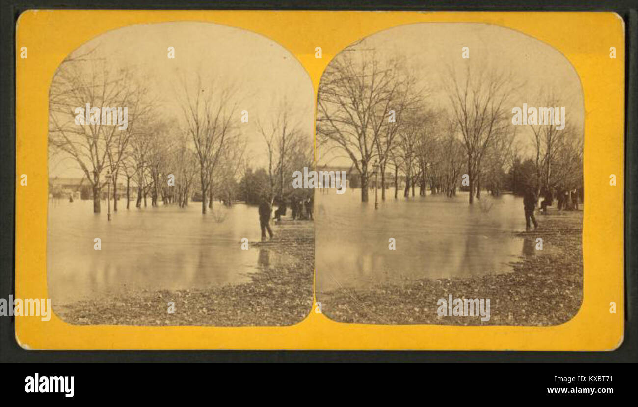 Ein Foto von Ranald Douglas, das die Überschwemmungen auf dem Gelände der Smithsonian Institution in Washington, D.C. am 12. Februar 1881 zeigt. Aufsteigendes Wasser aus dem Potomac River bedeckte Rasen, Bäume und Gehwege während der historischen Überschwemmung. Stockfoto