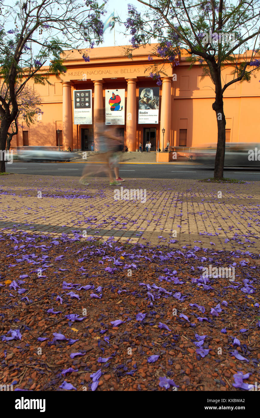 Die Hauptfassade des 'Museo Nacional de Bellas Artes' im Frühling mit Jacaranda-Bäumen. Recoleta, Buenos Aires, Argentinien. Stockfoto